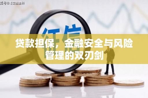 坪林贷款担保，金融安全与风险管理的双刃剑