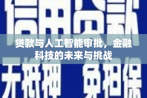 坪林贷款与人工智能审批，金融科技的未来与挑战