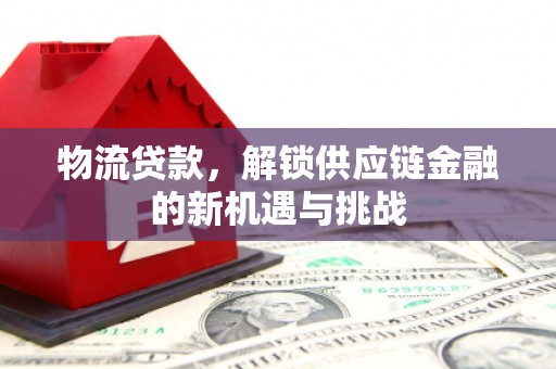 坪林物流贷款，解锁供应链金融的新机遇与挑战