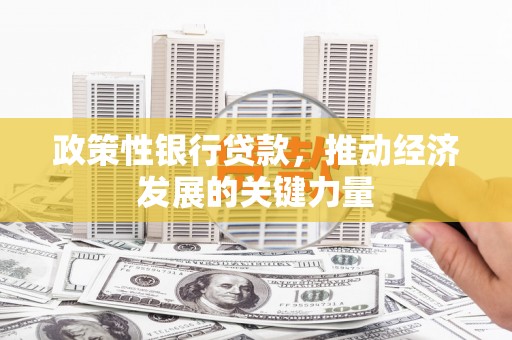 坪林政策性银行贷款，推动经济发展的关键力量
