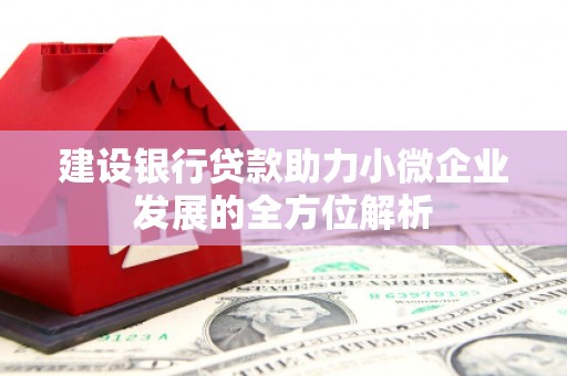 坪林建设银行贷款助力小微企业发展的全方位解析
