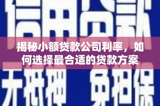 坪林揭秘小额贷款公司利率，如何选择最合适的贷款方案