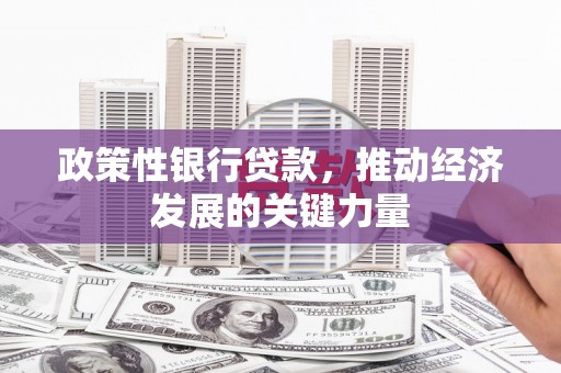 坪林政策性银行贷款，推动经济发展的关键力量