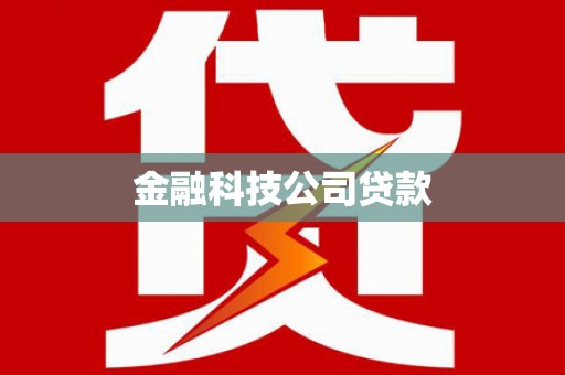 坪林金融科技公司贷款