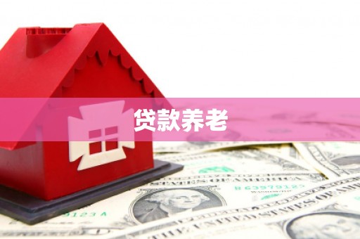 坪林贷款养老