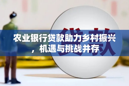 坪林农业银行贷款助力乡村振兴，机遇与挑战并存