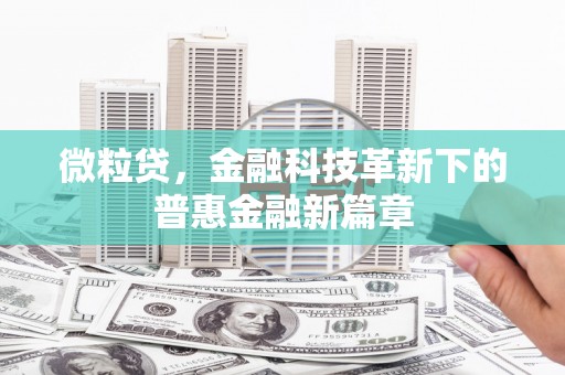 坪林微粒贷，金融科技革新下的普惠金融新篇章