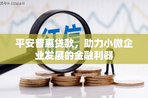 坪林平安普惠贷款，助力小微企业发展的金融利器