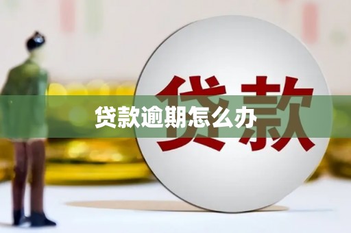 坪林贷款逾期怎么办