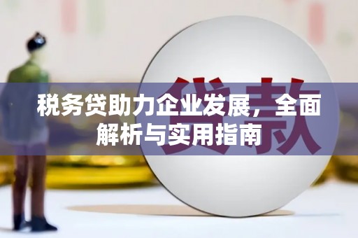 坪林税务贷助力企业发展，全面解析与实用指南