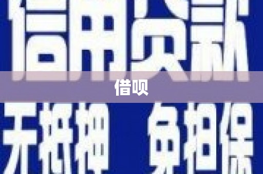 坪林借呗