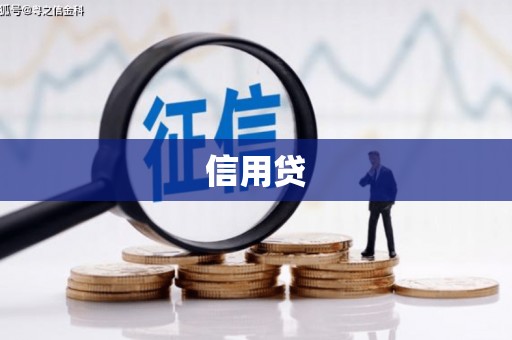 坪林信用贷