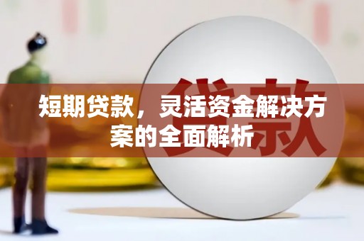 坪林短期贷款，灵活资金解决方案的全面解析