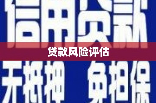 坪林贷款风险评估