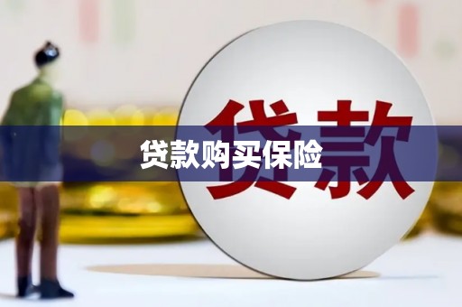 坪林贷款购买保险