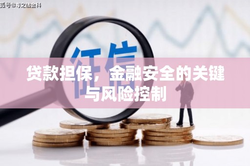 坪林贷款担保，金融安全的关键与风险控制