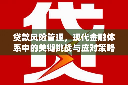 坪林贷款风险管理，现代金融体系中的关键挑战与应对策略