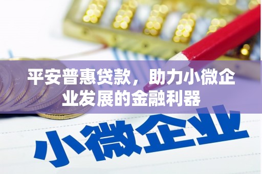坪林平安普惠贷款，助力小微企业发展的金融利器