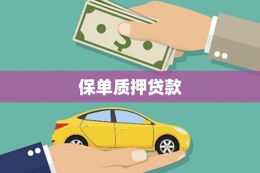 坪林保单质押贷款