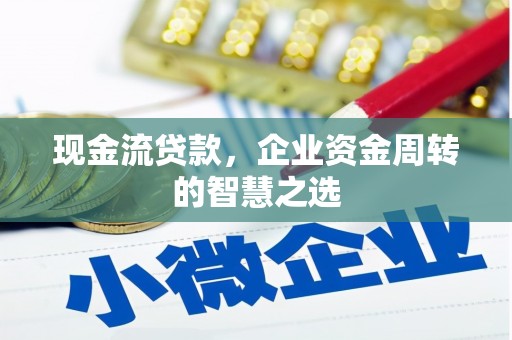 坪林现金流贷款，企业资金周转的智慧之选