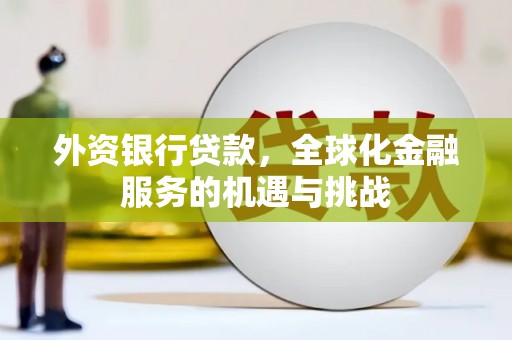 坪林外资银行贷款，全球化金融服务的机遇与挑战