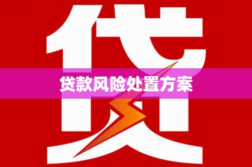 坪林贷款风险处置方案