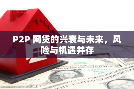 坪林P2P 网贷的兴衰与未来，风险与机遇并存