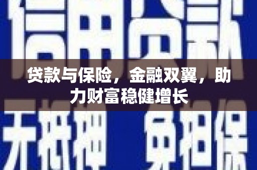 坪林贷款与保险，金融双翼，助力财富稳健增长