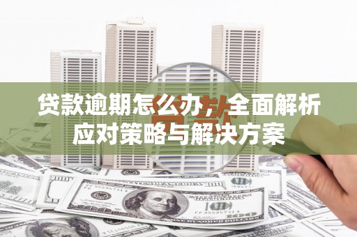 坪林贷款逾期怎么办，全面解析应对策略与解决方案