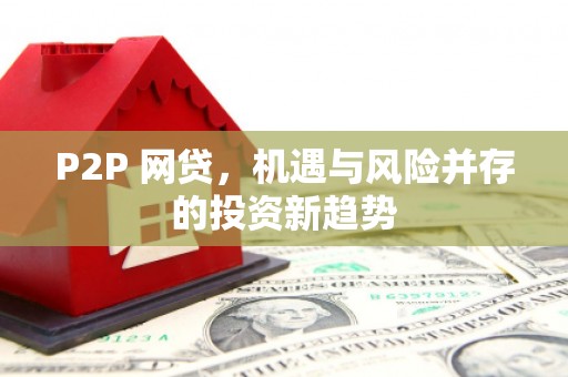 坪林P2P 网贷，机遇与风险并存的投资新趋势