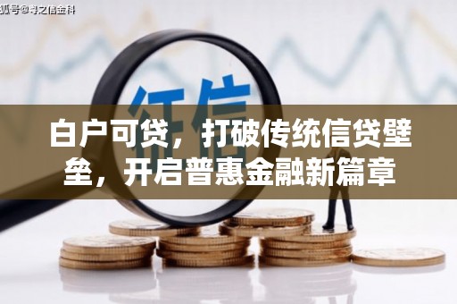 坪林白户可贷，打破传统信贷壁垒，开启普惠金融新篇章