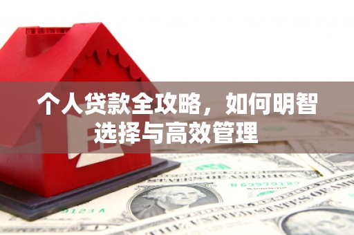 坪林个人贷款全攻略，如何明智选择与高效管理