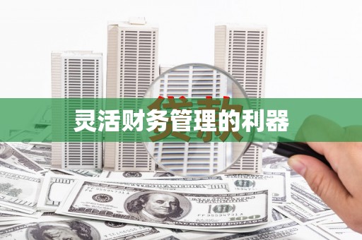 坪林灵活财务管理的利器