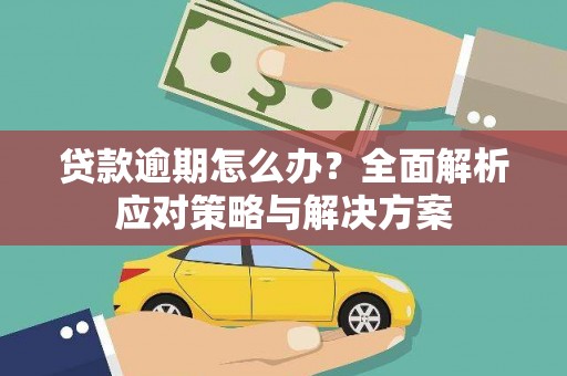坪林贷款逾期怎么办？全面解析应对策略与解决方案