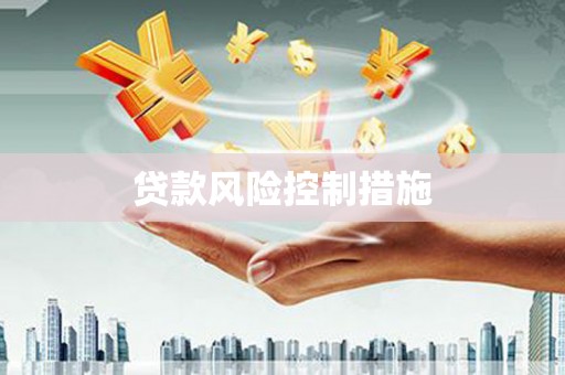 坪林贷款风险控制措施