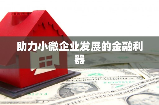 坪林助力小微企业发展的金融利器