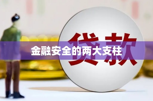 坪林金融安全的两大支柱