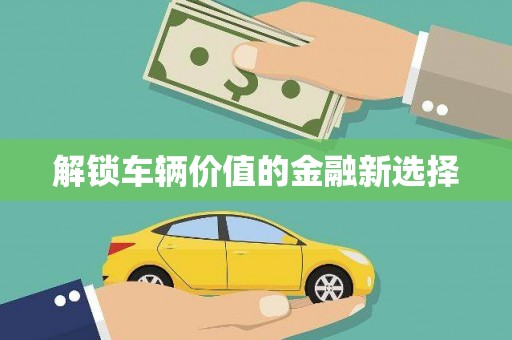 坪林解锁车辆价值的金融新选择