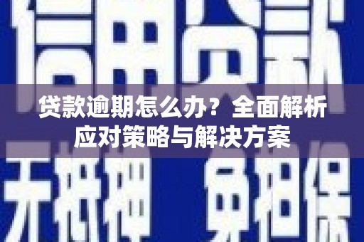 坪林贷款逾期怎么办？全面解析应对策略与解决方案