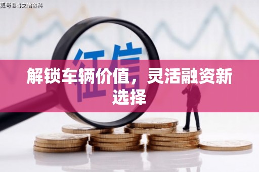 坪林解锁车辆价值，灵活融资新选择