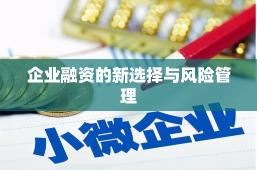 坪林企业融资的新选择与风险管理