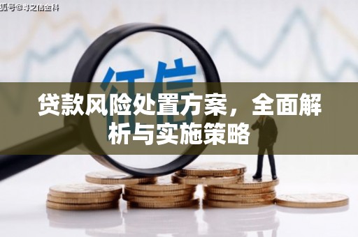 坪林贷款风险处置方案，全面解析与实施策略