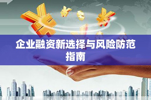 坪林企业融资新选择与风险防范指南