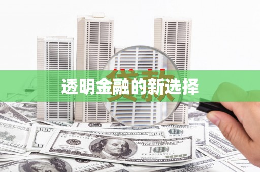 坪林透明金融的新选择