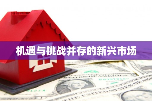 坪林机遇与挑战并存的新兴市场