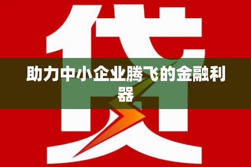 坪林助力中小企业腾飞的金融利器