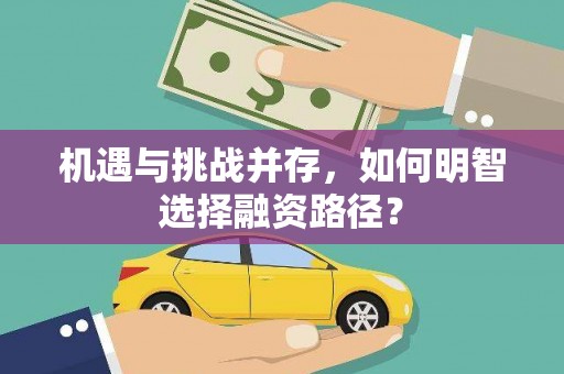 坪林机遇与挑战并存，如何明智选择融资路径？