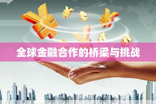 坪林全球金融合作的桥梁与挑战
