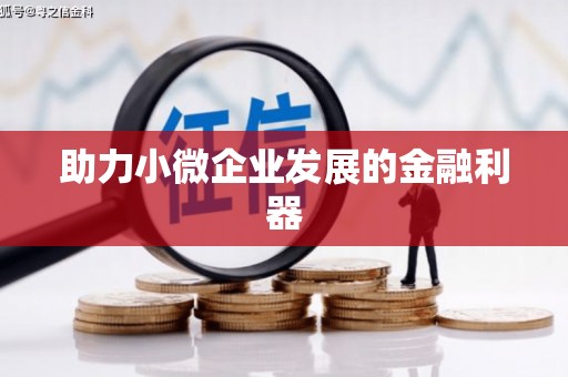 坪林助力小微企业发展的金融利器