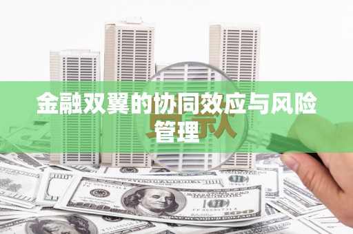 坪林金融双翼的协同效应与风险管理